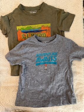 Lot of 2 Boys Size 4 L. L. Bean Short-Sleeve Tee with Colorful Logo Graphic